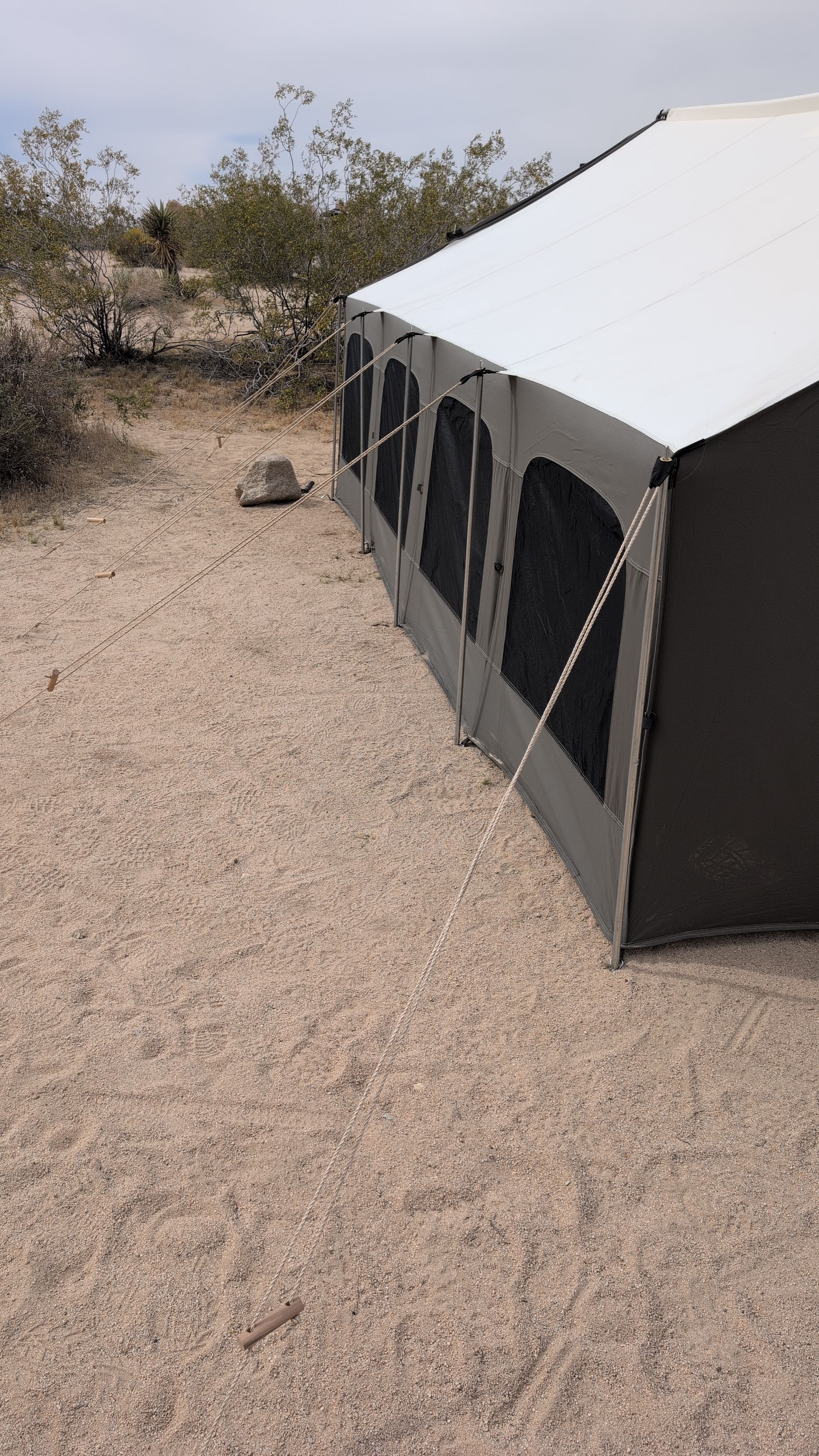 Photo of the side of the Kodiak Cabin showing all five short side poles guy-lined out and walls vertical