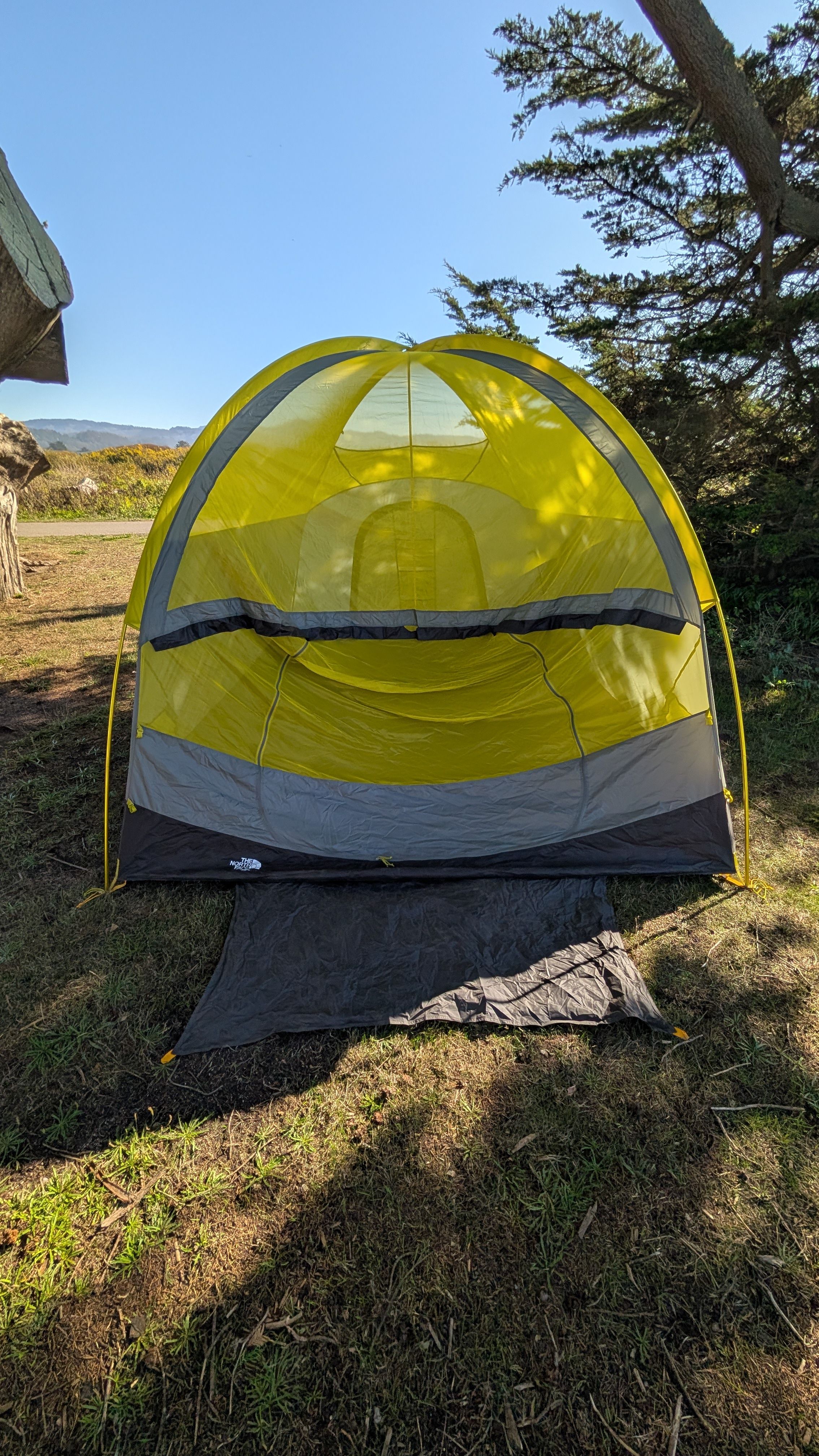 Photo showing yellow poles upright with dome forming